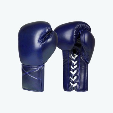 Professional Boxing and Martial Arts Training Gloves