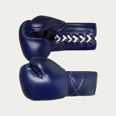 Professional Boxing and Martial Arts Training Gloves